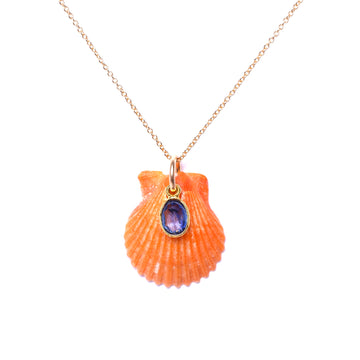 tiny shell and tanzanite gold necklace