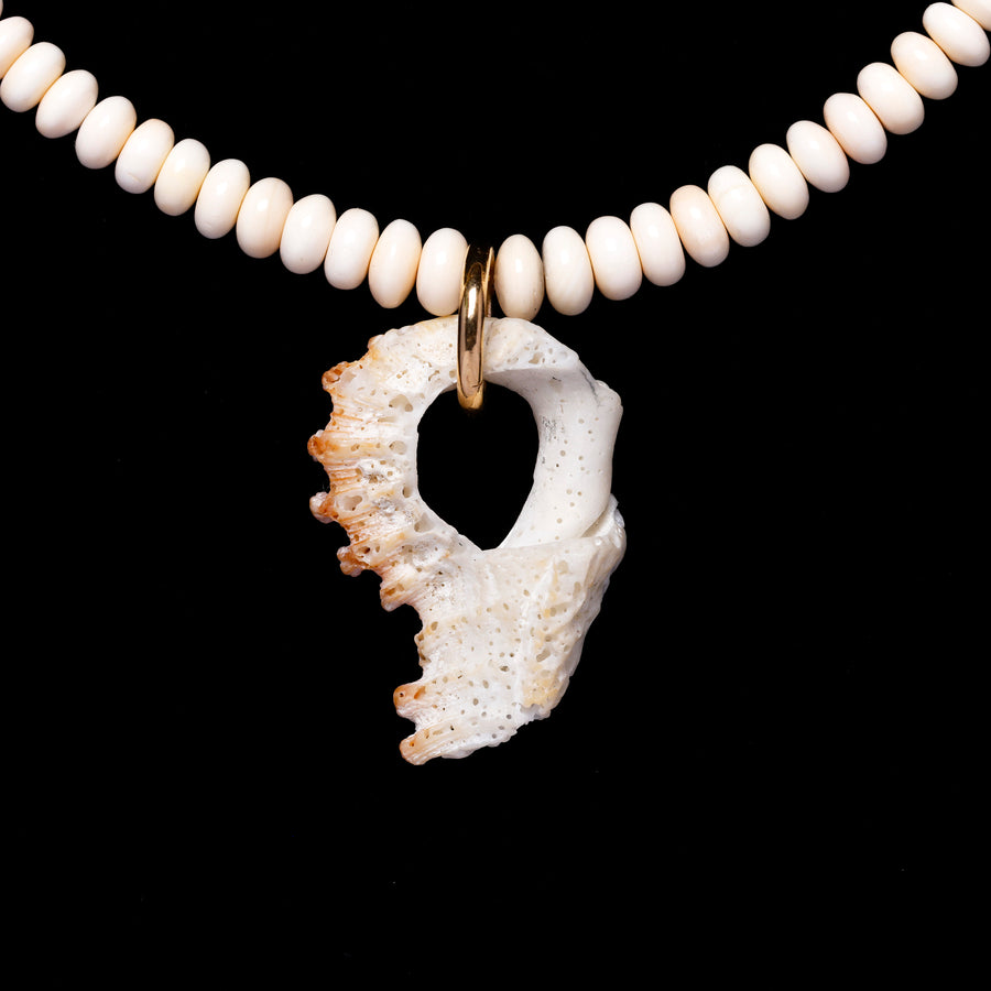 Conch shell and diamond necklace