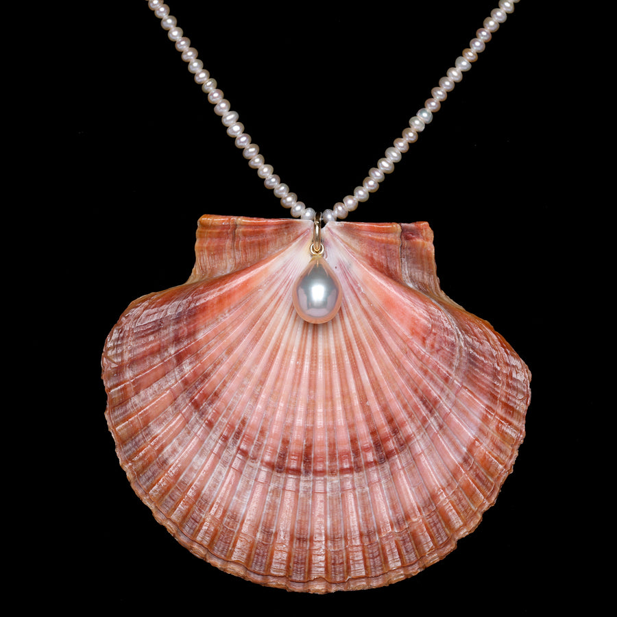 Pearl and Scallop Shell Necklace