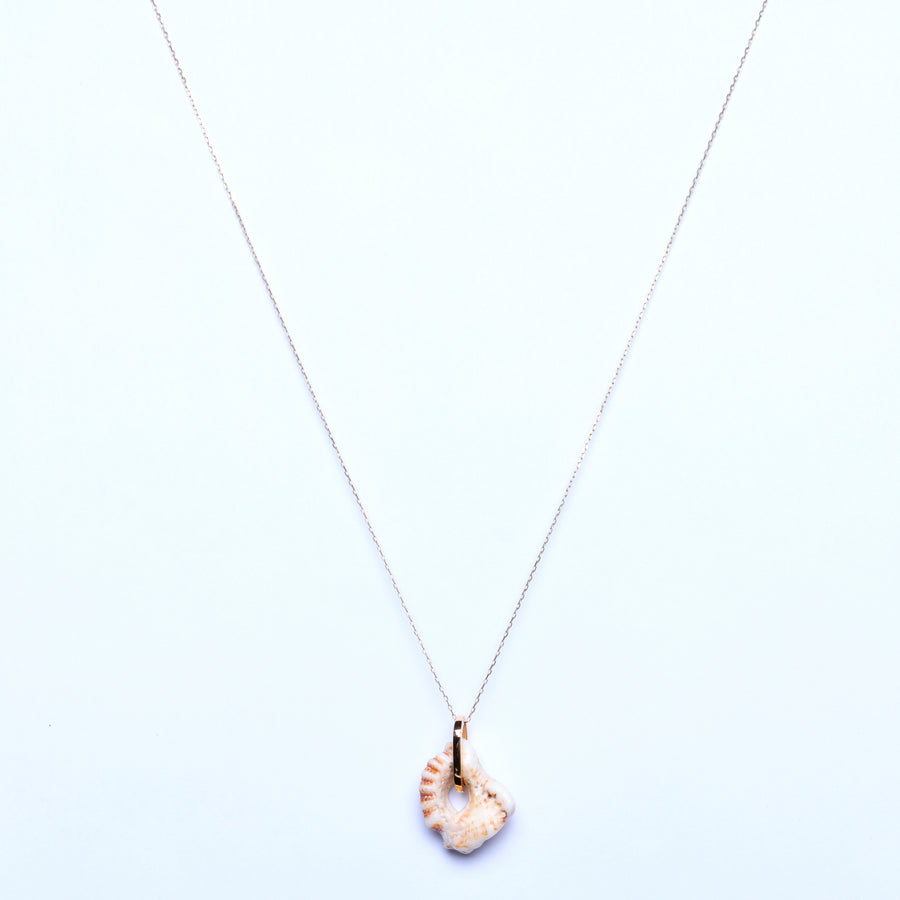 Gold link shell necklace