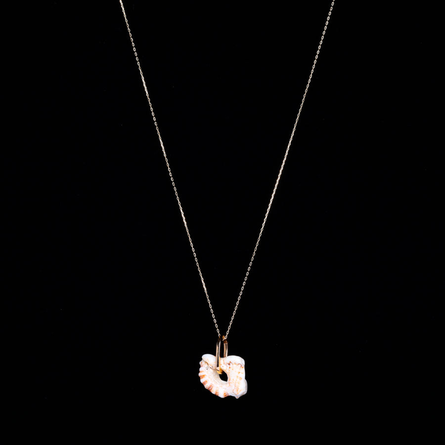Gold link shell necklace